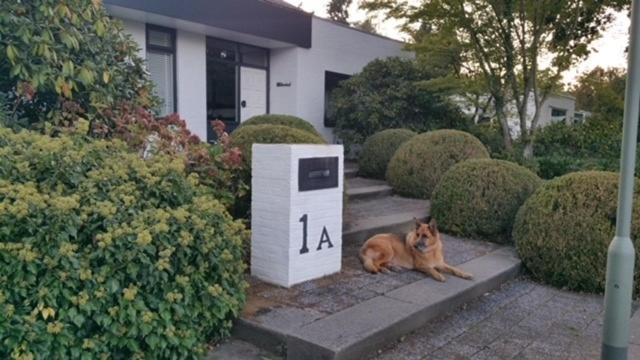 B&B Eikendreef Haelen Zewnętrze zdjęcie
